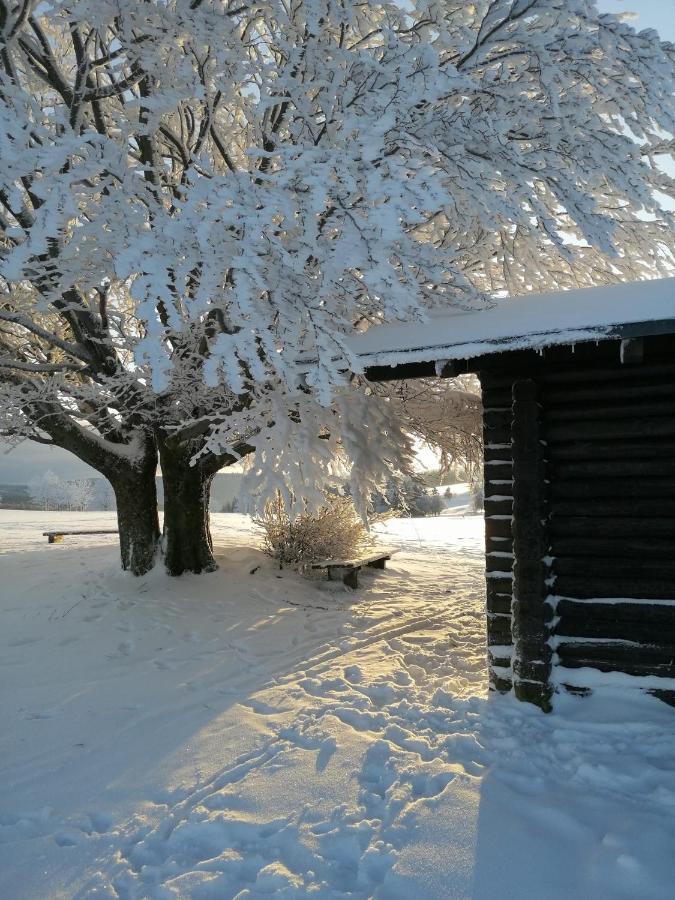 Familien-Hotel Am Traenkbachtal フラウエンヴァルト エクステリア 写真