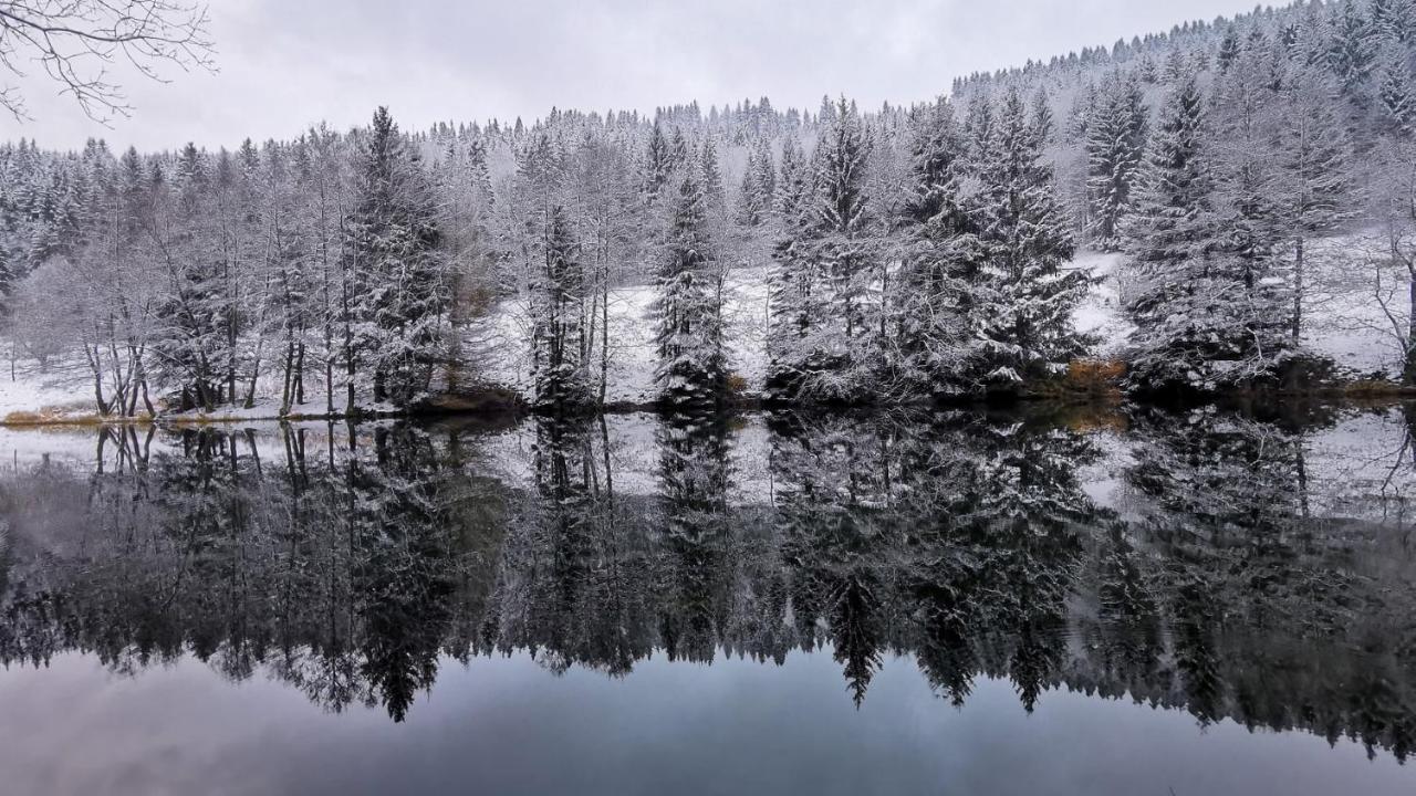 Familien-Hotel Am Traenkbachtal フラウエンヴァルト エクステリア 写真